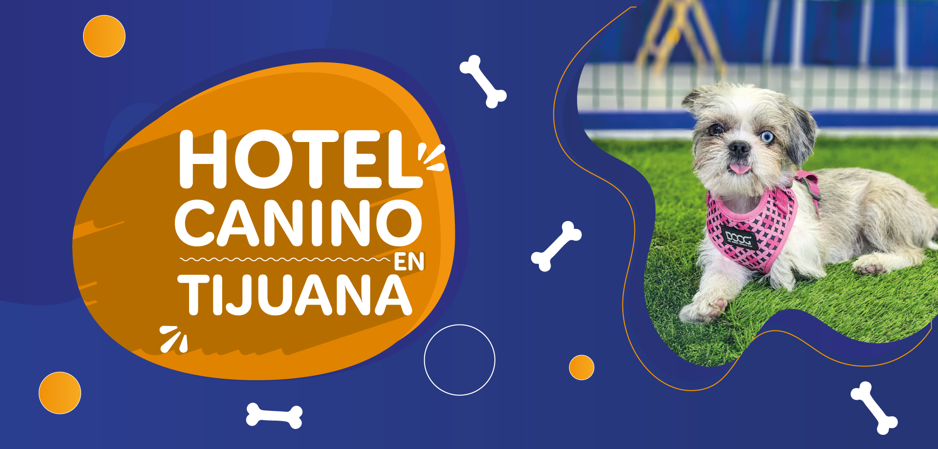 Hotel para perros
