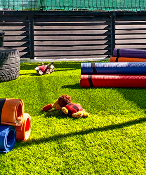 patio de juego para perros